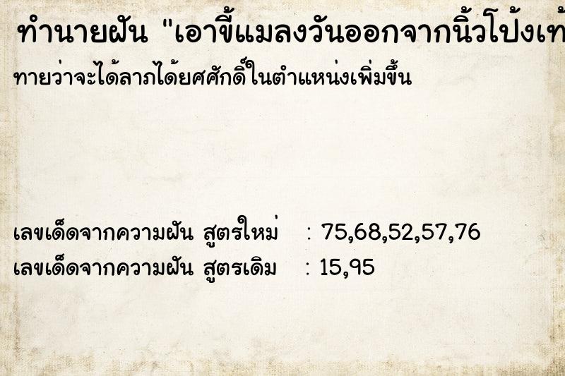 ทำนายฝัน เอาขี้แมลงวันออกจากนิ้วโป้งเท้า  เลขนำโชค 