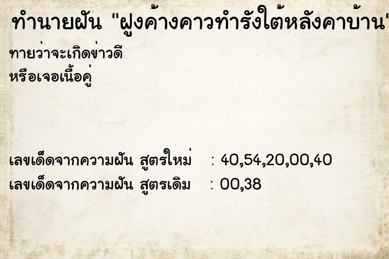 ทำนายฝัน ฝูงค้างคาวทำรังใต้หลังคาบ้าน