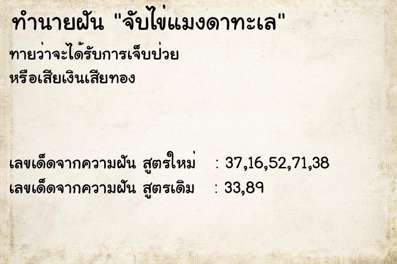 ทำนายฝัน จับไข่แมงดาทะเล