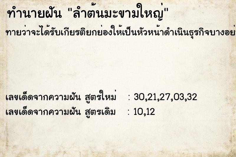 ทำนายฝัน ลำต้นมะขามใหญ่