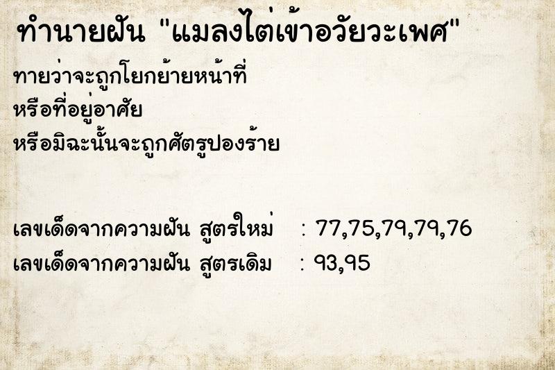 ทำนายฝัน แมลงไต่เข้าอวัยวะเพศ