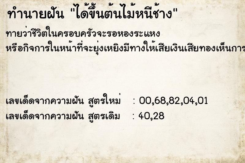 ทำนายฝัน ได้ขึ้นต้นไม้หนีช้าง