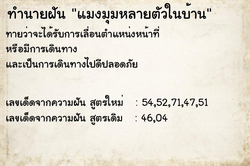 ทำนายฝัน แมงมุมหลายตัวในบ้าน