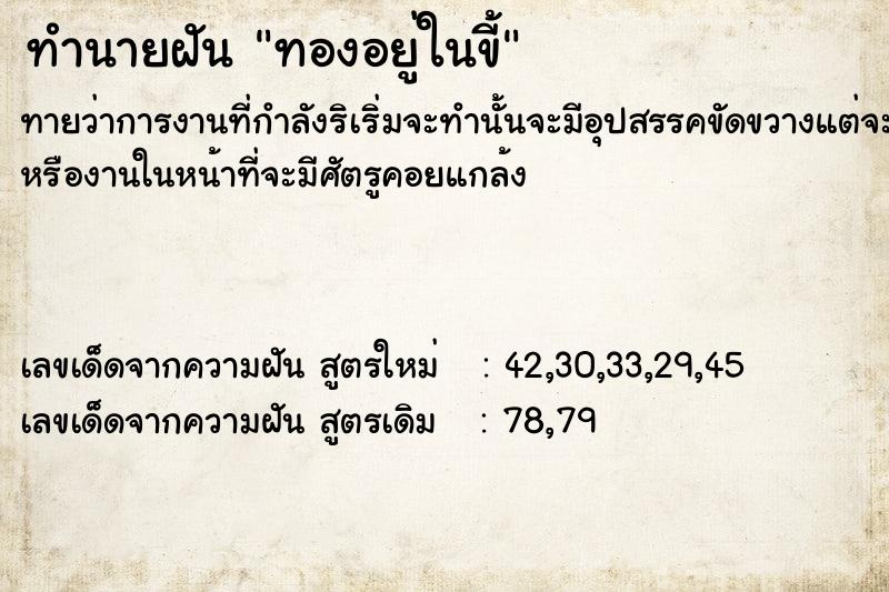 ทำนายฝัน ทองอยู่ในขี้