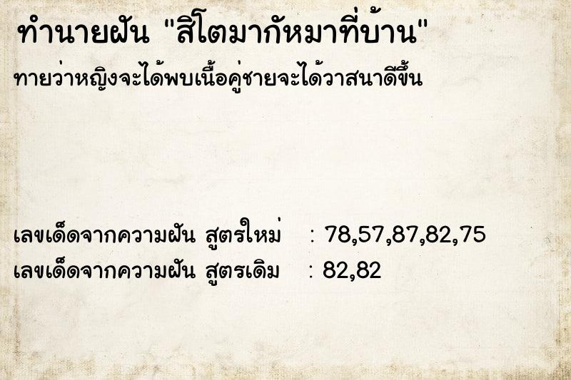 ทำนายฝัน สิโตมากัหมาที่บ้าน