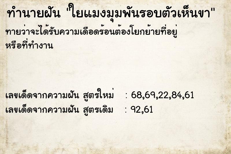 ทำนายฝัน ใยแมงมุมพันรอบตัวเห็นขา