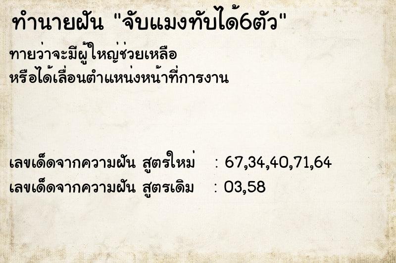 ทำนายฝัน จับแมงทับได้6ตัว