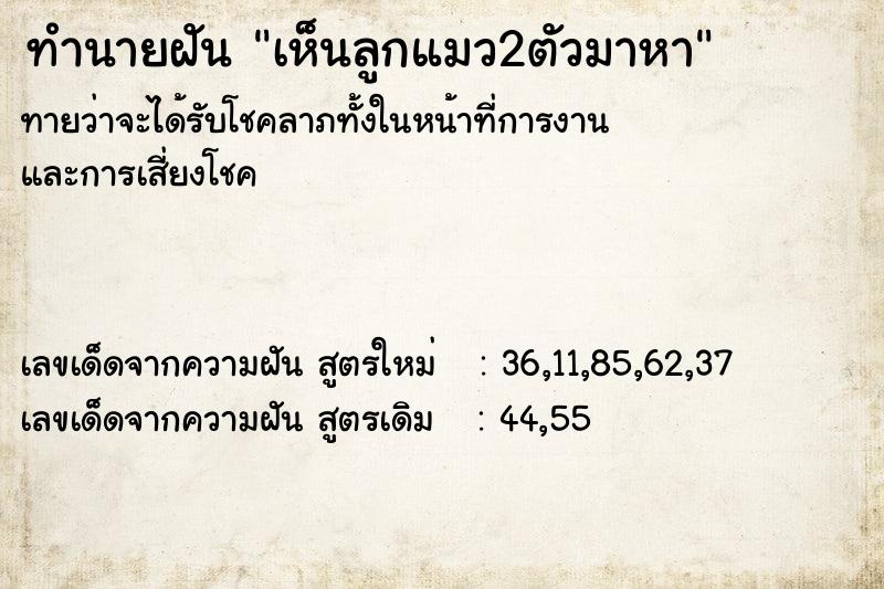 ทำนายฝัน เห็นลูกแมว2ตัวมาหา