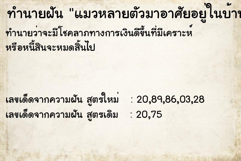 ทำนายฝัน แมวหลายตัวมาอาศัยอยู่ในบ้าน