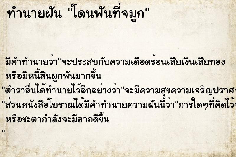 ทำนายฝัน โดนฟันที่จมูก