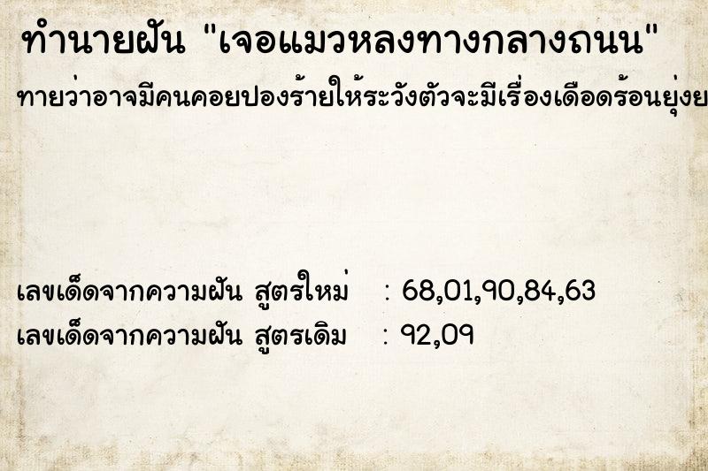 ทำนายฝัน เจอแมวหลงทางกลางถนน