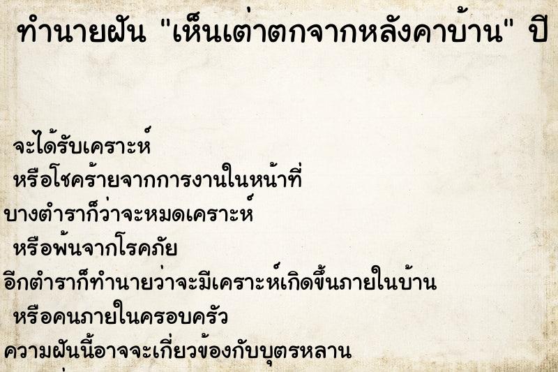 ทำนายฝัน เห็นเต่าตกจากหลังคาบ้าน