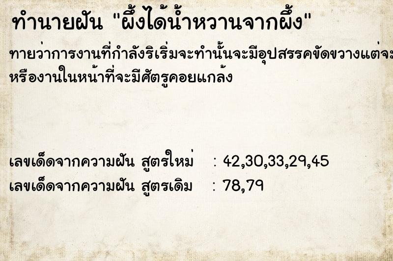 ทำนายฝัน ผึ้งได้น้ำหวานจากผึ้ง