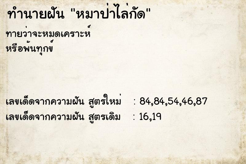 ทำนายฝัน หมาป่าไล่กัด  เลขนำโชค 