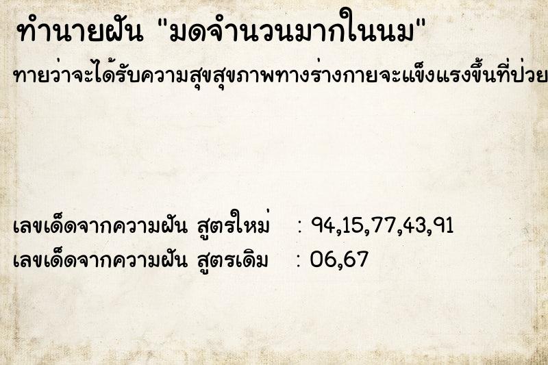 ทำนายฝัน มดจำนวนมากในนม  เลขนำโชค 