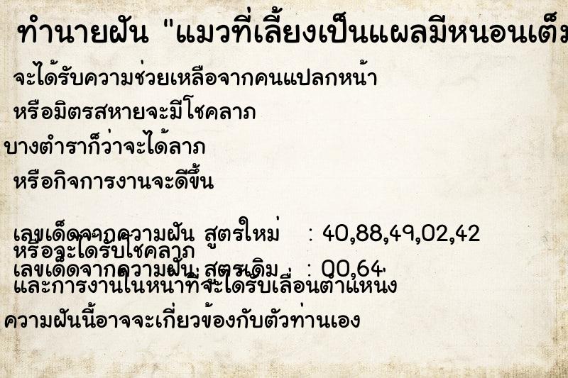 ทำนายฝัน แมวที่เลี้ยงเป็นแผลมีหนอนเต็ม  เลขนำโชค 