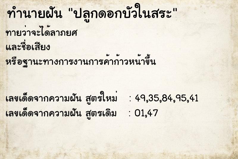 ทำนายฝัน ปลูกดอกบัวในสระ  เลขนำโชค 