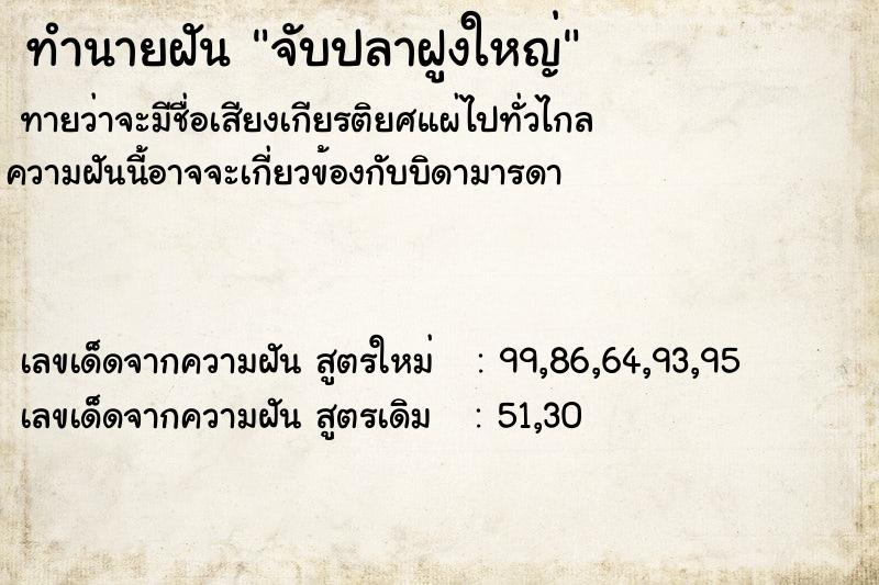 ทำนายฝัน จับปลาฝูงใหญ่