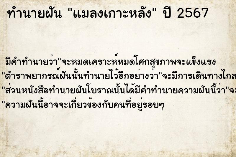 ทำนายฝัน แมลงเกาะหลัง