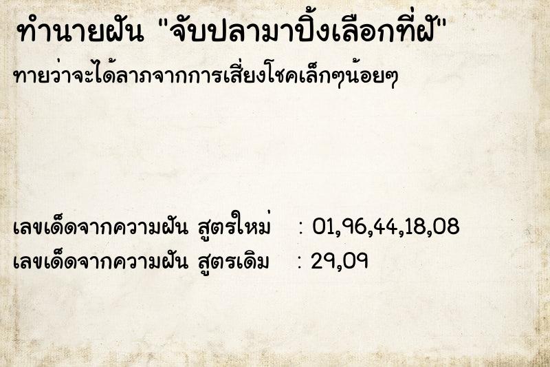 ทำนายฝัน จับปลามาปิ้งเลือกที่ฝั