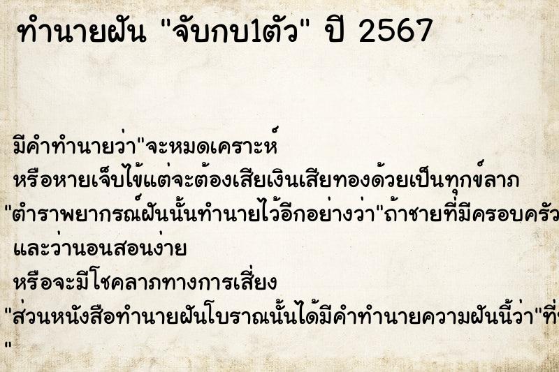 ทำนายฝัน จับกบ1ตัว  เลขนำโชค 