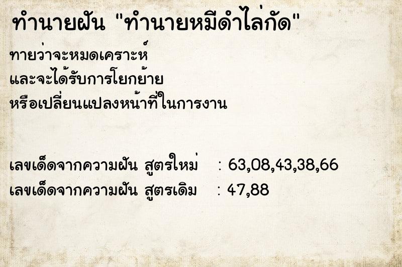 ทำนายฝัน ทำนายหมีดำไล่กัด