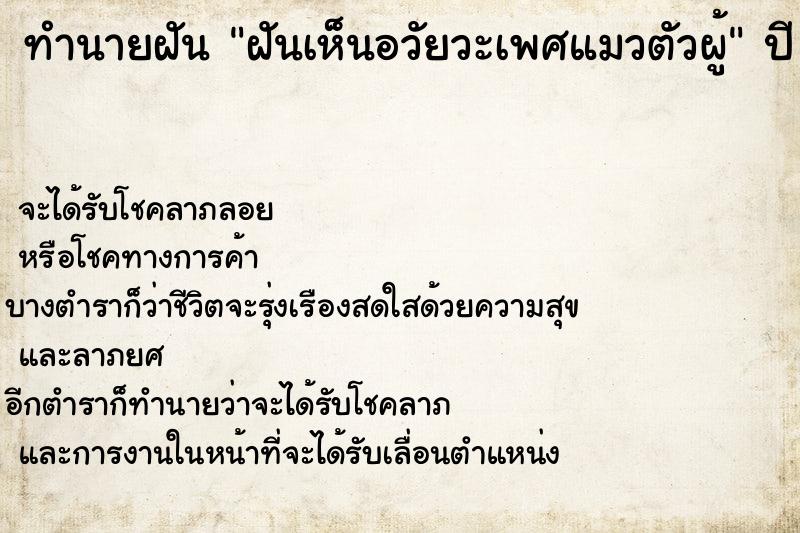 ทำนายฝัน ฝันเห็นอวัยวะเพศแมวตัวผู้