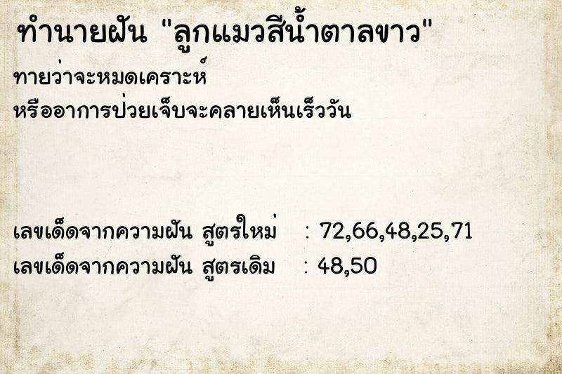 ทำนายฝัน ลูกแมวสีน้ำตาลขาว