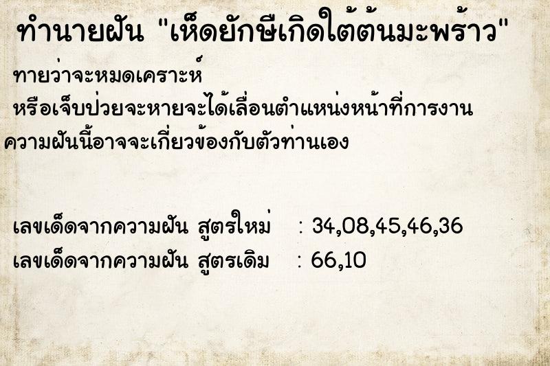 ทำนายฝัน เห็ดยักษืเกิดใต้ต้นมะพร้าว