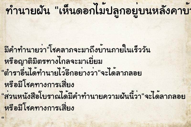 ทำนายฝัน #ทำนายฝัน #เห็นดอกไม้ปลูกอยู่บนหลังคาบ้าน  เลขนำโชค 