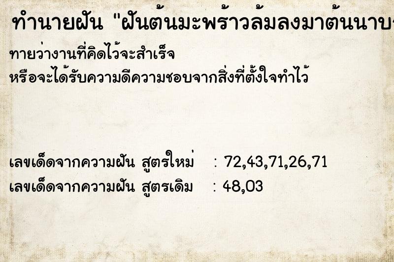 ทำนายฝัน ฝันต้นมะพร้าวล้มลงมาต้นนาบกับพื้นดิน