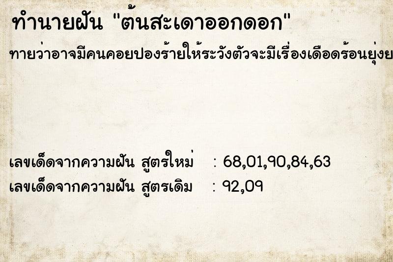 ทำนายฝัน ต้นสะเดาออกดอก