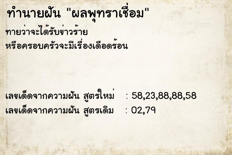 ทำนายฝัน ผลพุทราเชื่อม  เลขนำโชค 