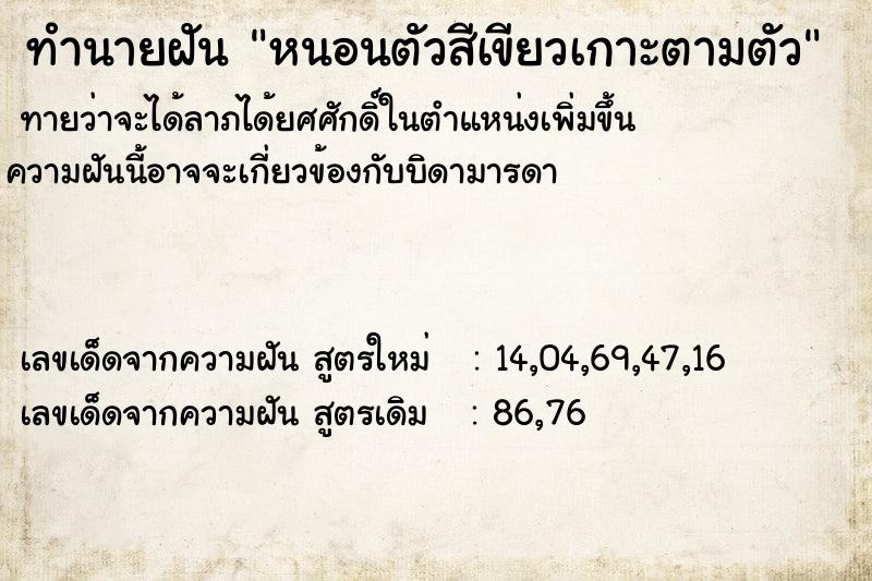 ทำนายฝัน หนอนตัวสีเขียวเกาะตามตัว