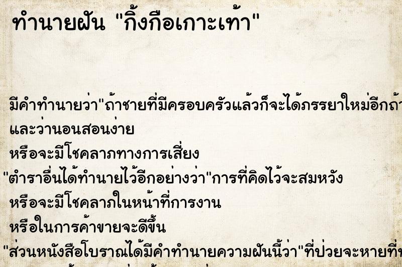 ทำนายฝัน กิ้งกือเกาะเท้า