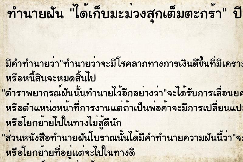 ทำนายฝัน ได้เก็บมะม่วงสุกเต็มตะกร้า