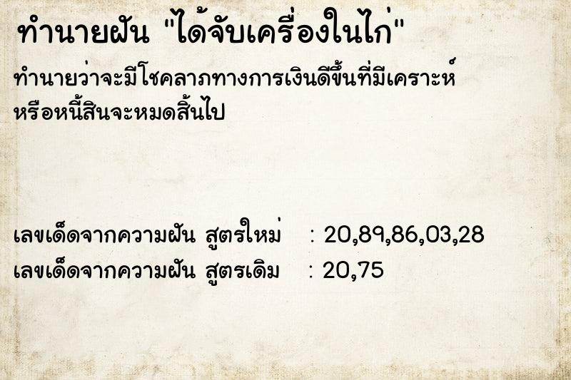 ทำนายฝัน ได้จับเครื่องในไก่