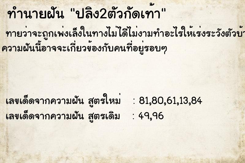 ทำนายฝัน ปลิง2ตัวกัดเท้า