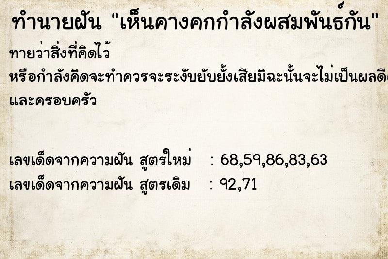 ทำนายฝัน เห็นคางคกกำลังผสมพันธ์กัน  เลขนำโชค 