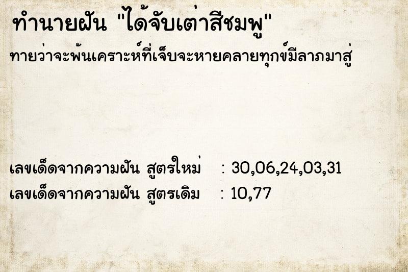 ทำนายฝัน ได้จับเต่าสีชมพู