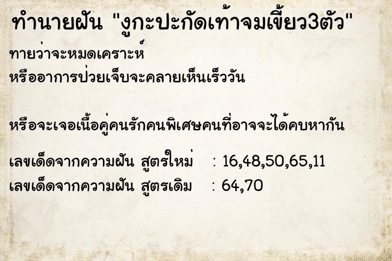 ทำนายฝัน งูกะปะกัดเท้าจมเขี้ยว3ตัว