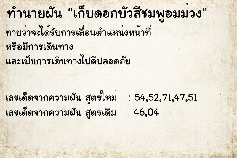 ทำนายฝัน เก็บดอกบัวสีชมพูอมม่วง