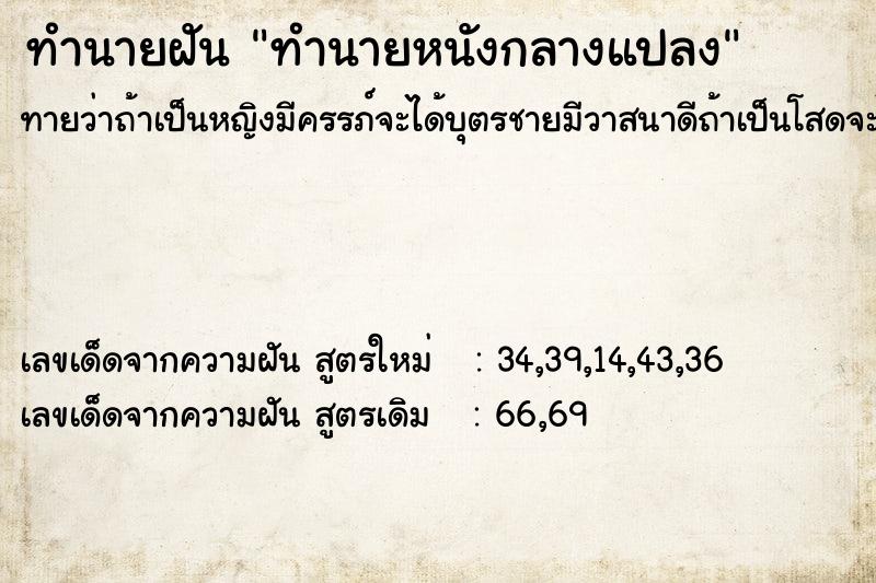 ทำนายฝัน ทำนายหนังกลางแปลง