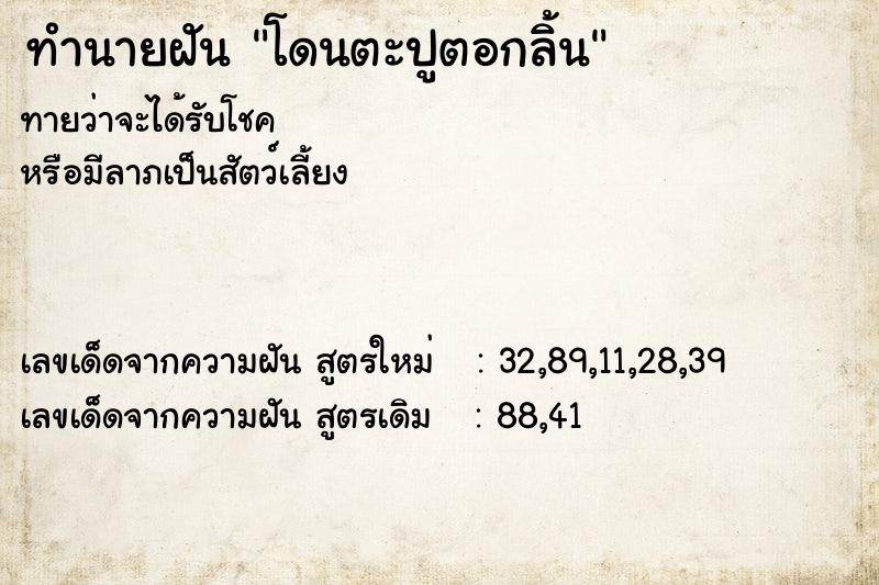 ทำนายฝัน โดนตะปูตอกลิ้น