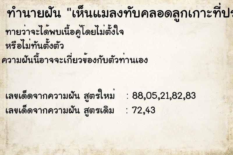 ทำนายฝัน เห็นแมลงทับคลอดลูกเกาะที่ประตูหน้าบ้าน