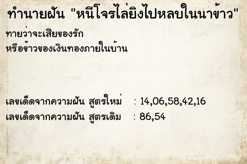 ทำนายฝัน #ทำนายฝัน #หนีโจรไล่ยิงไปหลบในนาข้าว  เลขนำโชค 