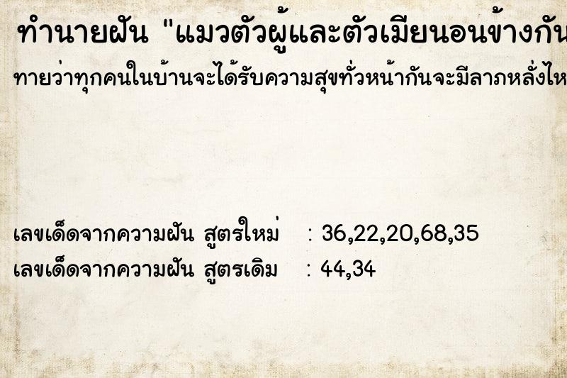 ทำนายฝัน แมวตัวผู้และตัวเมียนอนข้างกัน