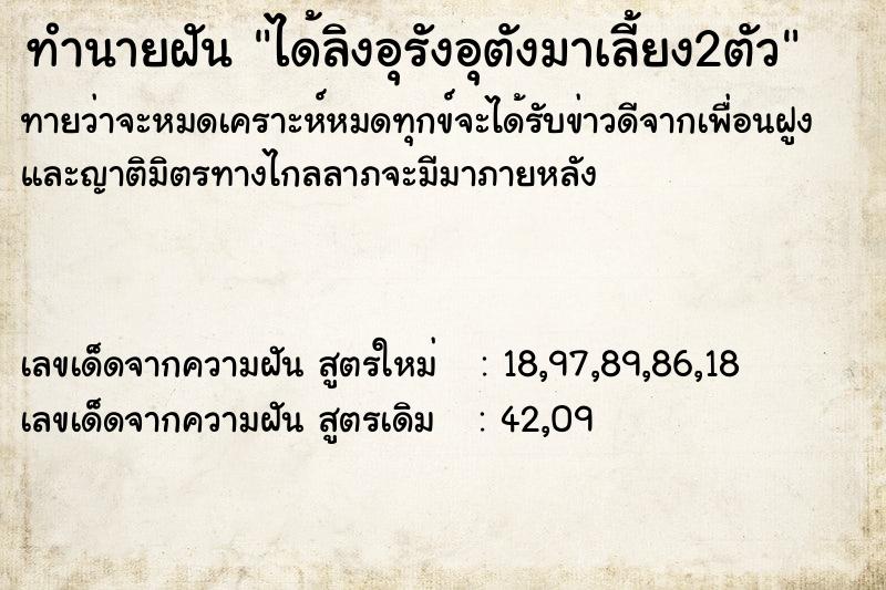 ทำนายฝัน ได้ลิงอุรังอุตังมาเลี้ยง2ตัว