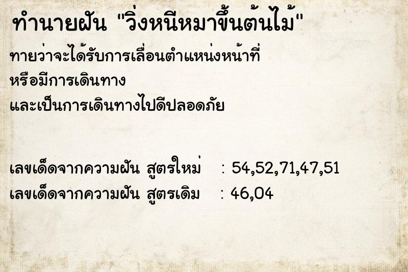 ทำนายฝัน วิ่งหนีหมาขึ้นต้นไม้