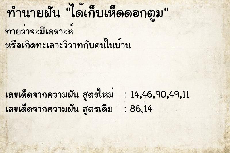 ทำนายฝัน ได้เก็บเห็ดดอกตูม